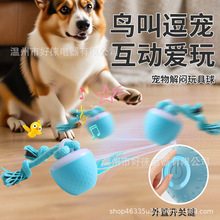 ������Ʒ������߹���ߌ������늄����܌��������������˶�����