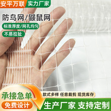 塑料防鸟网厂家家用庭院果树遮鸟网果园果树PP防鸟网大棚防鸟网