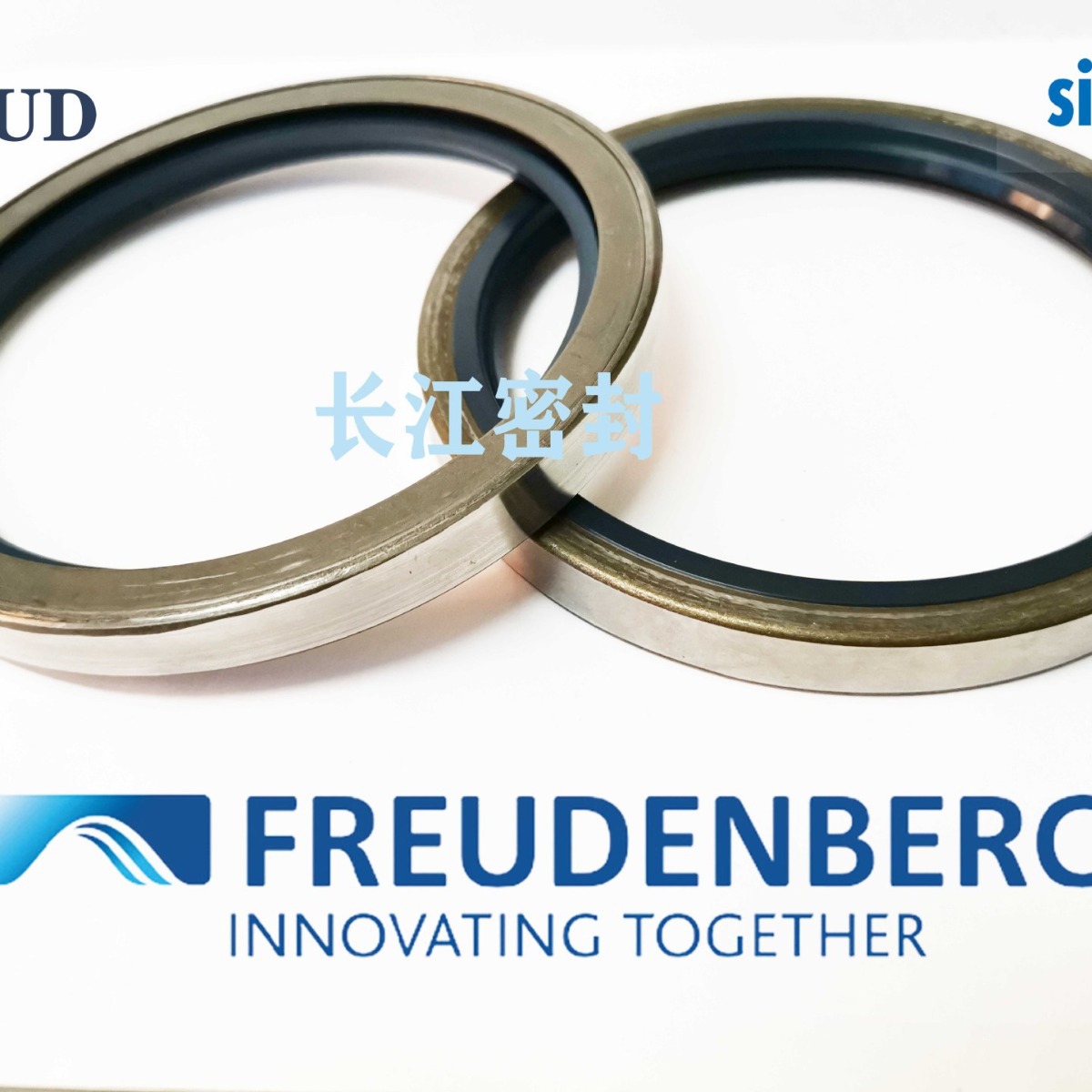 B2FUDSL 55-80-10进口骨架油封 德国CFW 外铁壳油封 金属插件