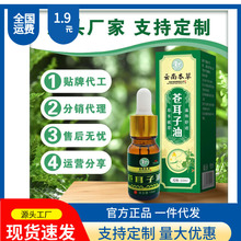 �n�����͸�α�Һ���˃�ͯ�^���ԇ��F������ͨ��������������l