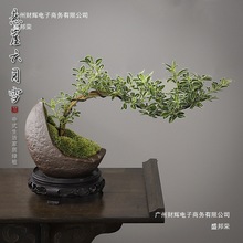 ����ѩ�辰�U���҃��k���Ҳ�ה[�����²����������Դ�̨С�Gֲ��