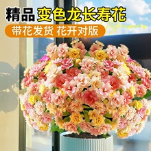 �L�ۻ������ļ����B�_���ذ�׃ɫ���󻨎����������҃Ȼ��ܾGֲ��