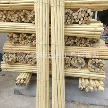 现货加长2米白腊杆锹把白蜡条原生蜡白蜡棍耙子杆木柄去皮白蜡木