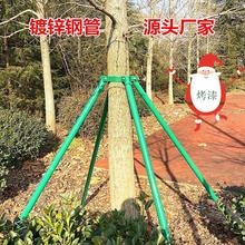 支撑架钢管固定器绿色大树支伸缩杆乔木防风抱箍园林金属树支撑