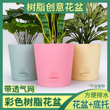 批发kt彩色田园加大加厚树脂花盆耐摔不易变形家居摆设阳台菜园