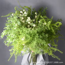 ��cɭϵ�Gɫ���ķ��滨�Y�õ���bGֲ���컨���Ĕz�������l