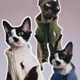狗狗服装;猫猫服饰;宠物围巾