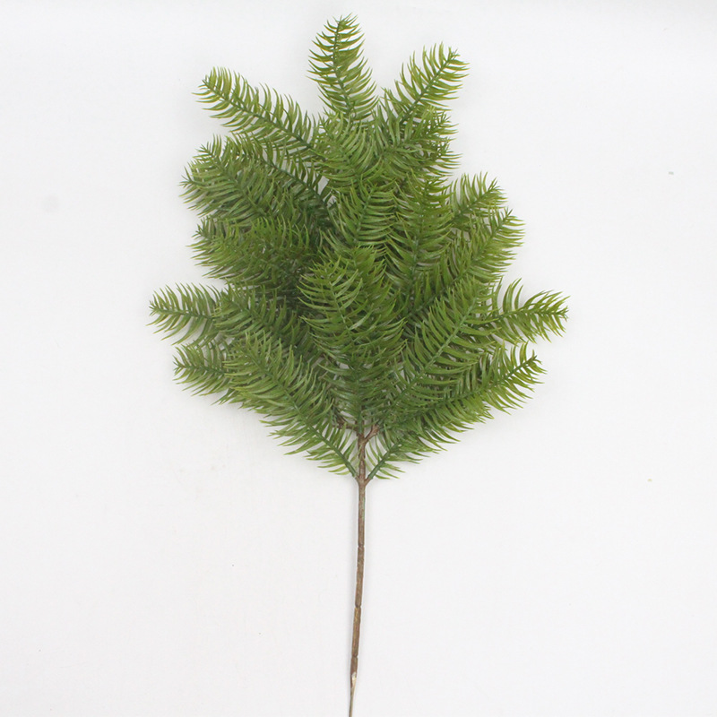 刺杉 XRB-333 (3).jpg