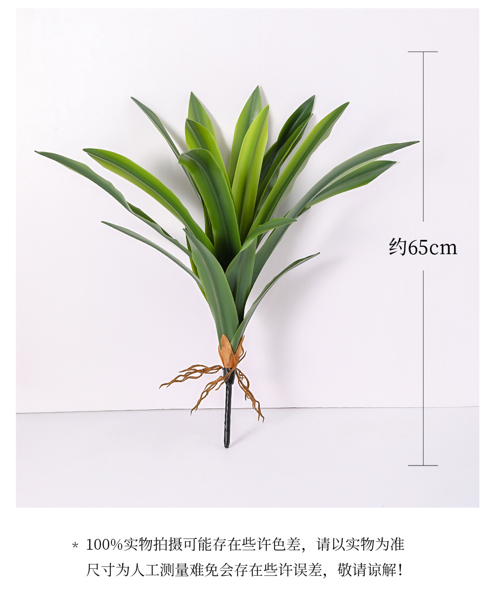 详情_03.jpg
