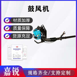 四冲程大功率汽油吹风机森林防火吹雪机工地消防风力灭火鼓风