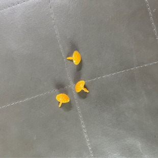 Artificial Flower Trendy Small Bouquet Accessories Flower Core Flower Stem Accessories Complete Set Wholesale