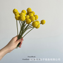 �����Ʒ�|��֦�S���� �̄ջ�ˇ�OӋ �Ƶ������OӋ �c�Y �ɐ�С��