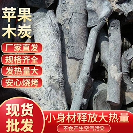 木炭;其他非金属;烧烤炭