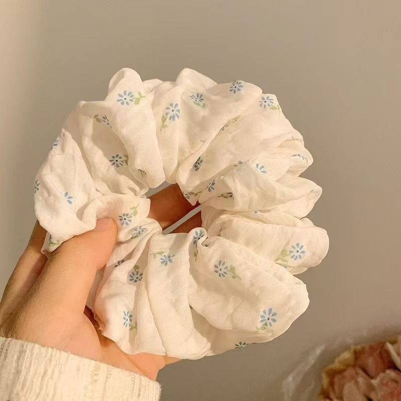 작은 파란 꽃