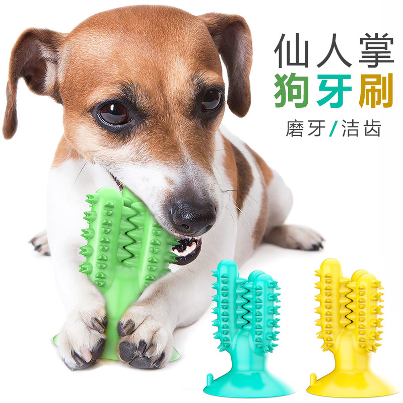 宠物狗狗玩具耐啃咬胶仙人掌橡胶盘训练磨牙棒啃咬玩具清洁用品