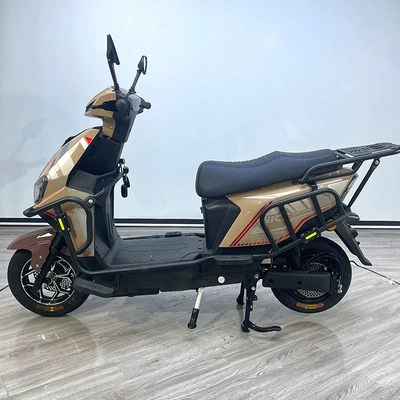 Zhenbao electric | Motuoche Auto Parts and Accessories