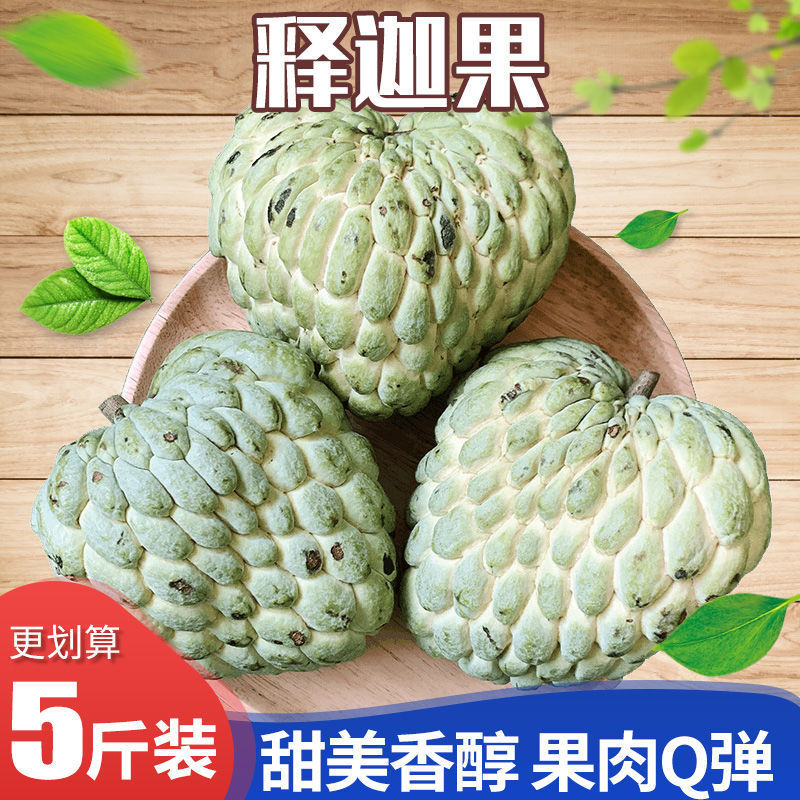 Hainan milk Shakya fresh Custard apple fruit Sakyamuni Buddha head Utilis Sweetsop Tropical fruit