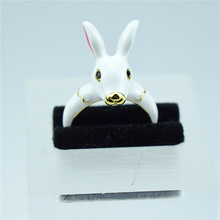 ��ϵ��ָŮ�ɐ�����ָ�hins�r�Ђ�����Ů�ČW��ʳָ����{������