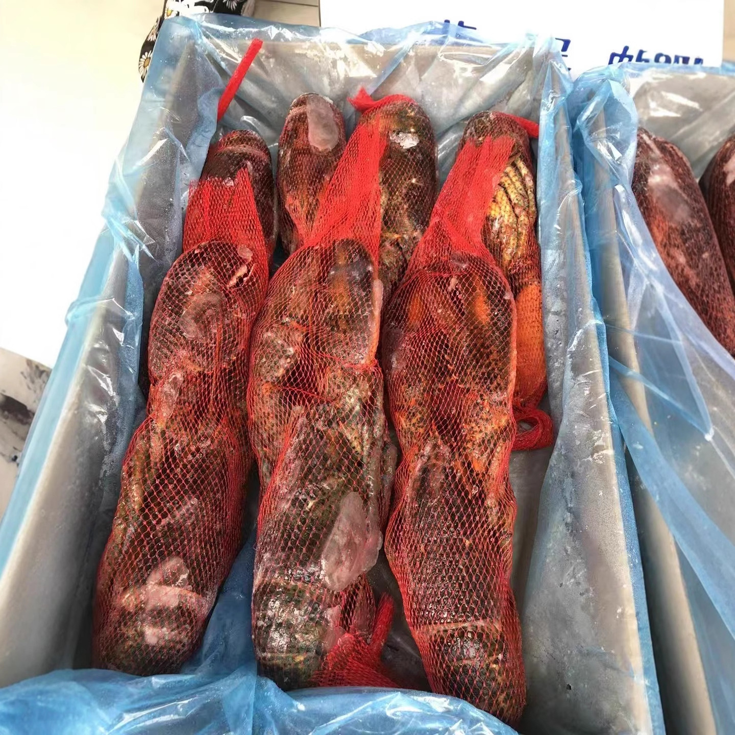 波士顿龙虾速冻大波龙鲜冻海鲜活冻加拿大龙虾特大商用整箱批发