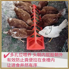 ���u���Z��ʳ��ιʳ�����B�u��ι�ϲ��L����ˮ��һ�w���uʳ���uʳ