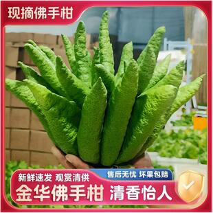 ���A���ָ��幩ؕƷ�r����Y���ش����֦ˮ��Gֲ�^�p�����㙴