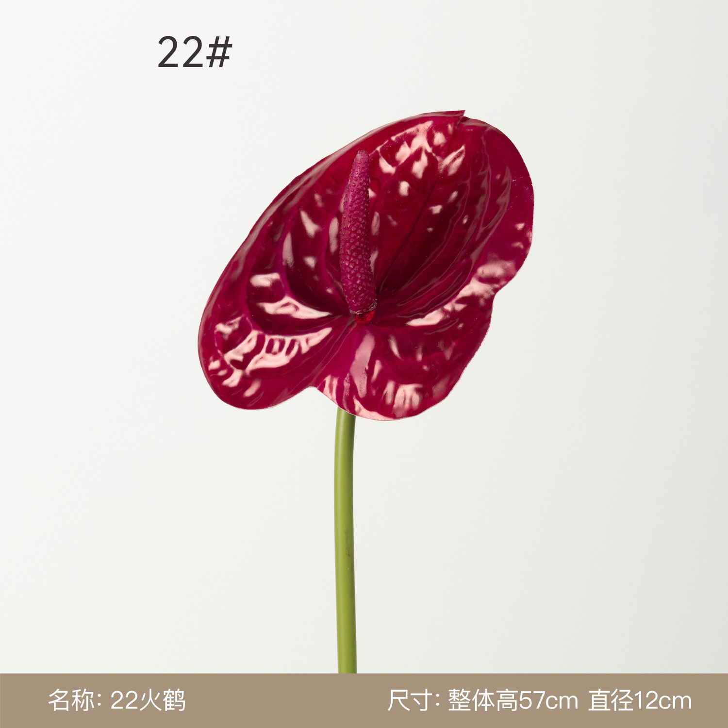 22