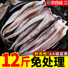 新鲜鱿鱼须鲜活冷冻尤鱼串腿生鲜章鱼二本足海鲜水产铁板鱿鱼商用
