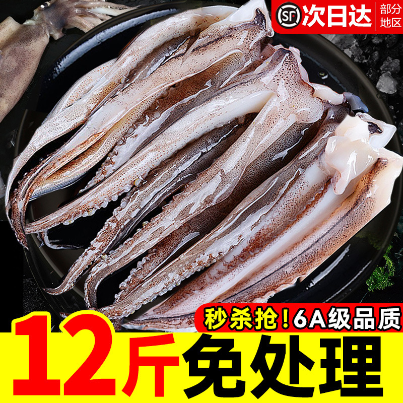 新鲜鱿鱼须鲜活冷冻尤鱼串腿生鲜章鱼二本足海鲜水产铁板鱿鱼商用