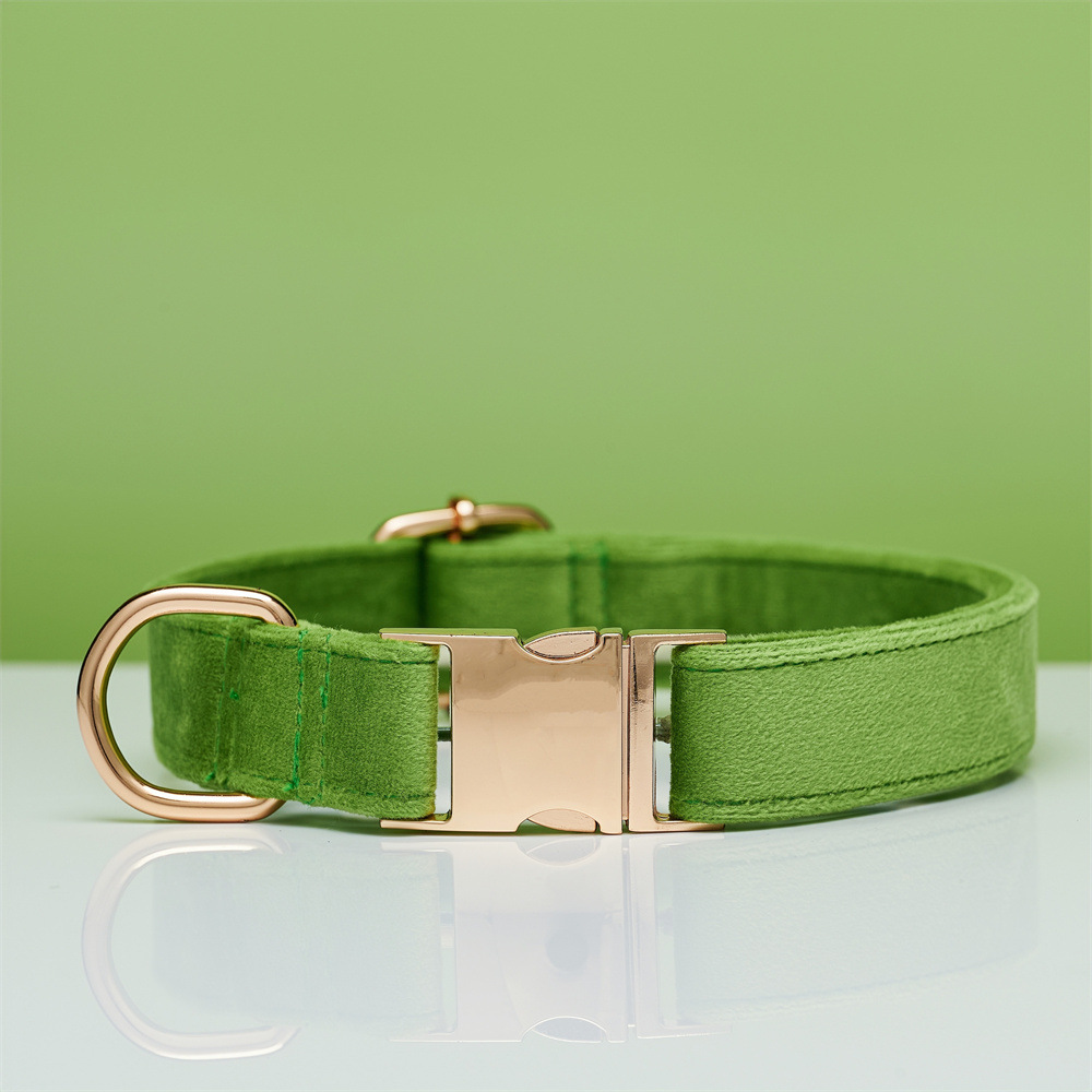 Collar para perros, grabado, perro pequeño anti-pérdida, salir a pasear al perro, correa para el perro, correa para el collar, collar para perros medianos y grandes, cuello de Corgi