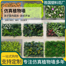 �S�����l����ֲ� ���m���ϼٲ�ƺ�������̈��҃��b�ֲ�ﻨ��