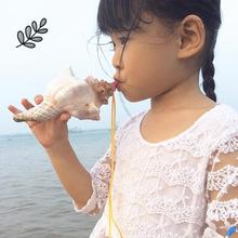 螺号喇叭大号海螺玩具吹口哨儿童创意礼物小摆件天然贝壳工艺品跨