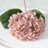 Meat powder
