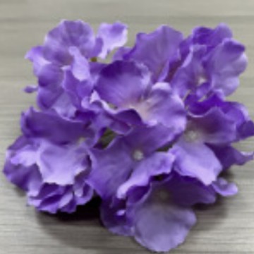 삼각 수국 - 보라색