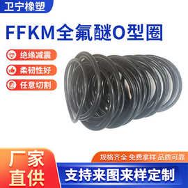 FFKM全氟醚O型圈半导体行业耐等离子刻蚀FFKM高纯度全氟醚O型圈