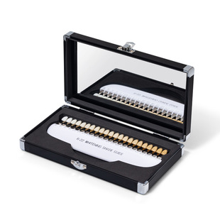 Cross-border hot selling professional teeth whitening palette 22 color steps