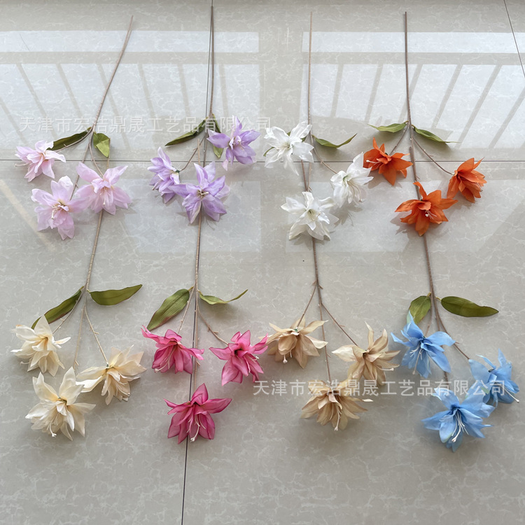 微信图片_202208111655471_副本