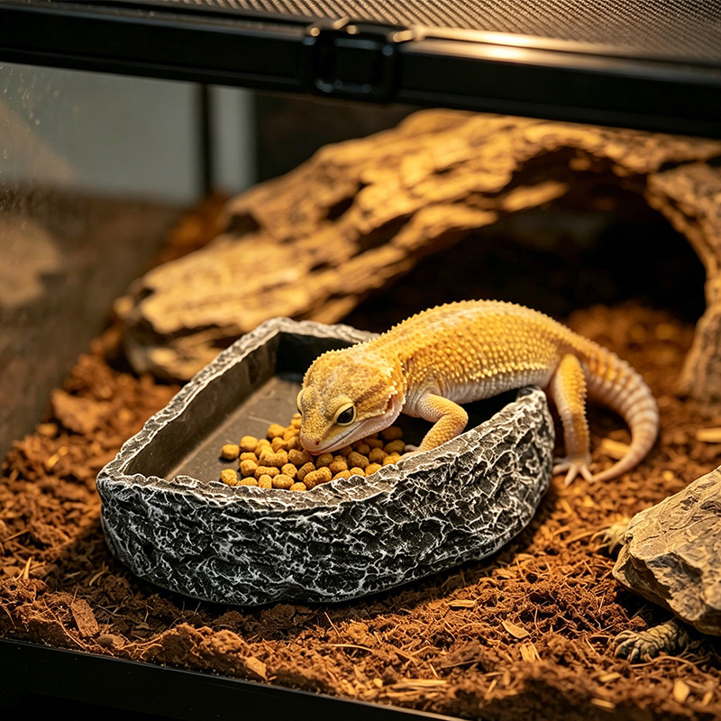 Suministros para reptiles, tazón de alimentación para tortugas pequeñas, recipiente de agua de resina para jardín, tazón de alimentación para arañas, serpientes, lagartos y tortugas. image 4