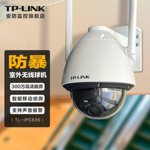 TP-LINK TL-IPC635-4 300fȫoWjz^C