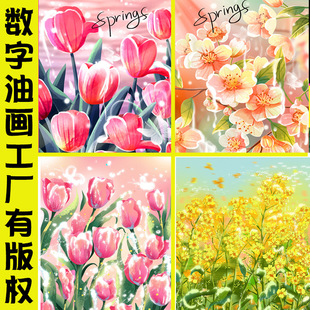 ���ܔ����ͮ�diy���L�Ͳʮ��������ֹ����Tɫ��ϩ�b��ڙ�