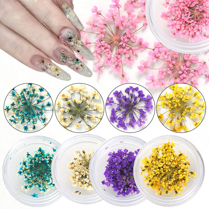 Dried Flower Manicure Box Decoration Net Red Day Natural Snow Bead Flower Gypplesus Small Floral Nail Decoration Wholesale