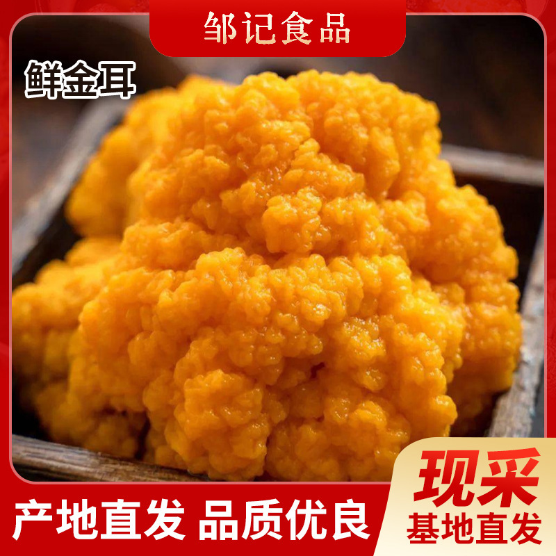 Fresh Golden Ear Mushrooms, Fresh Produce for Stewing Chicken, Making Soup, and Hot Pot Ingredients, Wholesale from Manufacturer, Net Weight, High Nutritional Value, in Stock