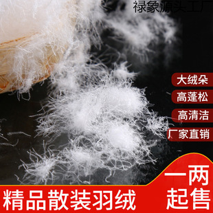 ɢ�b��që���˴������q�����Z�q��ԭ�������|��С��