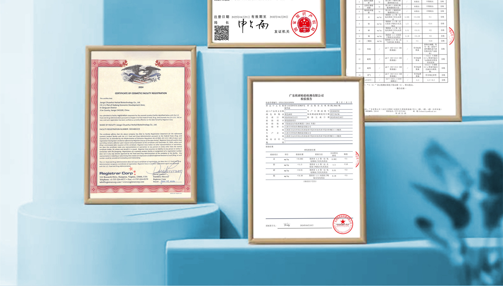 微信图片_20240820090224