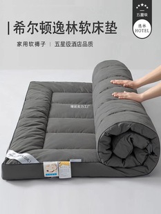 Mattress Soft Cushion Home Mattress Bedroom Five-Star Hotel Soy Fiber Dormitory Soft Bed Mattress Quilt Soft Bottom