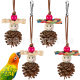 Parrot toy bird toy chew pine cone toy grinding teeth grinding mouth natural pine ball boredom relief toys wholesale cross-border