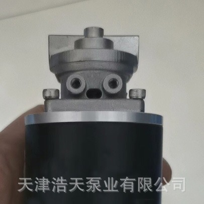 24V直流齿轮泵TDKF 咖啡 奶茶 饮料 果汁 清水海水蜂蜜糖浆齿轮泵