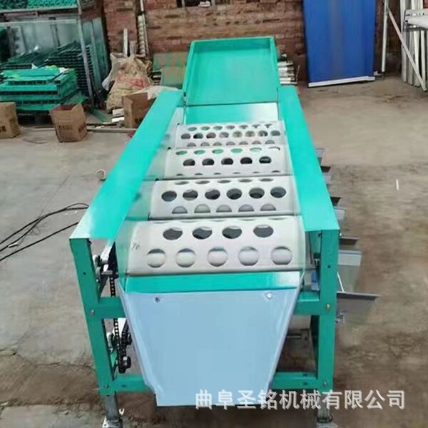 Citrus fruit sorting machine