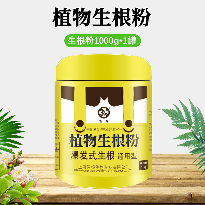 [가성비 빅캔] 루팅파우더 1000gx1캔