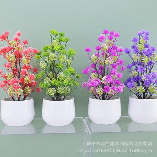 ����Gֲ�ٻ��軨޹�²ݾG�����̼ҾӾƵ껨���������Ԕ[�����ϻ�