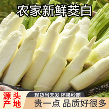 [����l]2026���r�Fժ�������r�������ϸ߹S���S�Ƶ�ʳ��